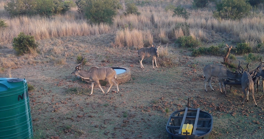 5 Bedroom Property for Sale in Swartruggens North West